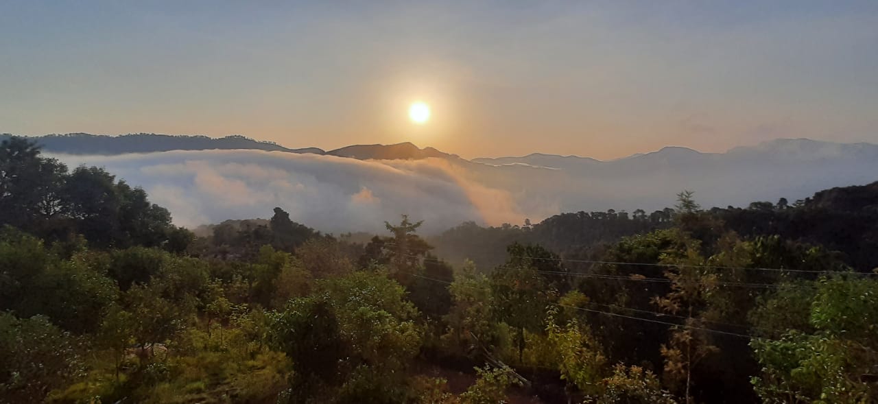 675282146ac24_WhatsApp Image 2024-12-06 at 10.09.29_803a224a.jpg